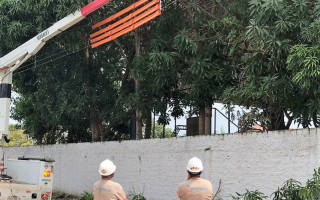 Equipe de linha viva, habilitada para trabalhos com rede energizada, realiza poda técnica.