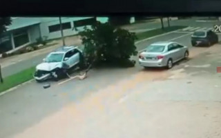 Carro arrancou uma árvore na Avenida José de Brito. 