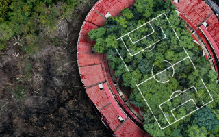 A área a ser recomposta corresponde a cerca de 630 campos de futebol.