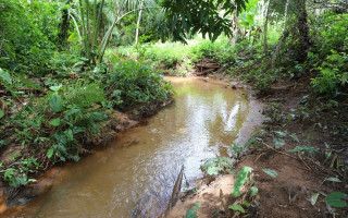 Serão preservadas as cabeceiras e realizadas melhorias no manejo das águas pluviais como um todo.