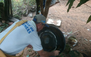 Evite o acúmulo de pneus e garrafas no seu quintal.
