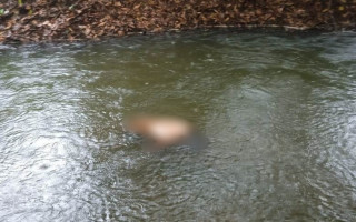 Corpo foi encontrado boiando no Rio Tranqueira.