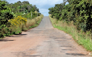 Autorização é referente ao recapeamento asfáltico na TO-164, que interliga Xambioá e  Carmolândia