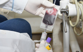 Coleta de sangue para doação.