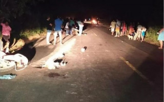Acidente como animal provocou a morte de uma mulher no norte do Tocantins
