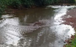 Amostras de água e peixes serão encaminhadas ao laboratório da UFT.