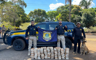 Droga foi apreendida durante fiscalização de rotina na BR-153. 