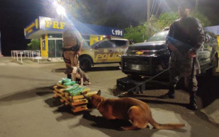 A operação de enfrentamento à criminalidade foi realizada em conjunto com a Polícia Militar do Tocantins (PMTO).