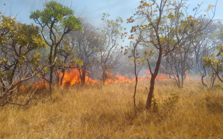 Labaredas altas chamaram atenção de quem passou pelo local 