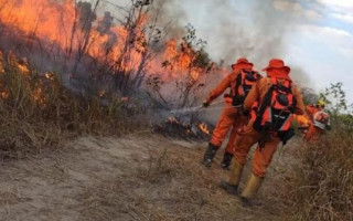  Militares combatem incêndio florestal no Parque Estadual  do Cantão. 