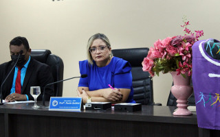 PL de autoria de Paula Zerbine 