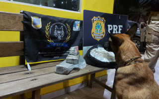 Drogas foram localizadas com a ajuda de um cão farejador.