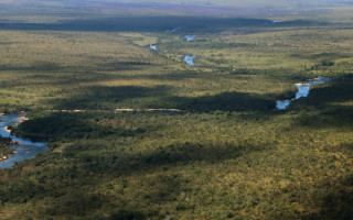Cada pesquisa pode receber financiamento de até R$ 100 mil. 