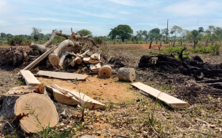 Área onde há suspeita de desmatamento corresponde a 52 mil campos de futebol.