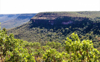  O Tocantins busca acessar recursos por pagamentos por resultado por ter implementado ações  de preservação do Cerrado
