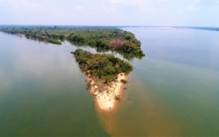 Tocantins tem a expectativa de transacionar 200 milhões de toneladas de carbono florestal provenientes de REDD+.