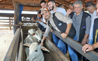Governador Wanderlei Barbosa 