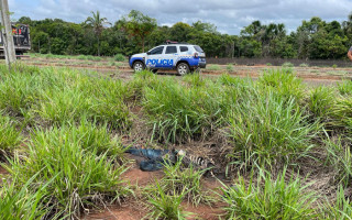 Também não foi possível saber se havia sinais de violência no local onde os restos mortais estavam.