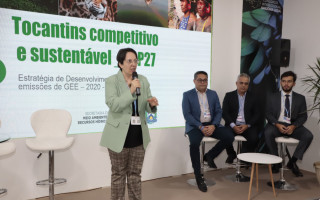 Marli Santos, superintendente de Gestão de Políticas Ambientais 