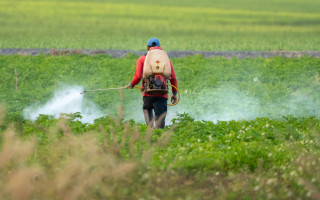 Empresa foi autuada pelo Ibama e Adapec por supostamente utilizar e armazenar agrotóxicos vencidos e proibidos no Brasil.