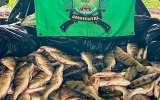 Pescado localizado pela equipe de policiais do BPMA.