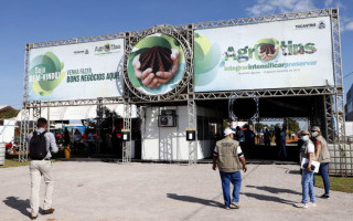 Portal da Agrotins em Palmas 