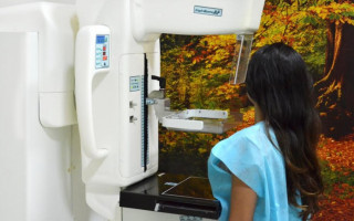 SES-TO alerta para a prevenção contra a doença que acometeu 981 pessoas em todo o Estado, em 2022