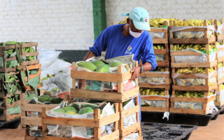 Os interessados devem apresentar toda a documentação presencialmente no Departamento de Agricultura, na Prefeitura da Rua 25 de Dezembro, até 30 de março