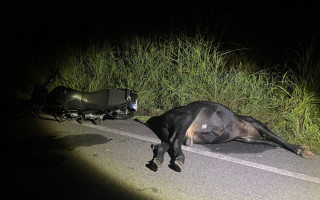 Acidente ocorreu na madrugada deste domingo, 9, na TO-222. 