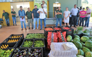 Entrega contou com 20 produtores da zona rural da cidade e 11 entidades assistenciais