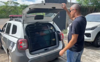 Pessoas presas eram usadas como 