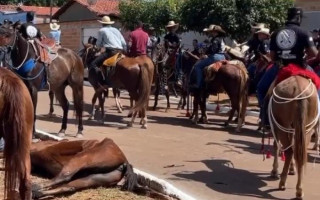 Animal morreu durante cavalgada no município de Fátima.