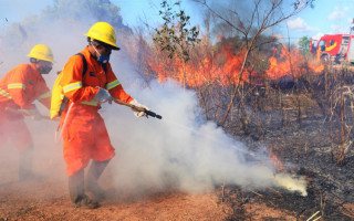 Equipe com 10 servidores dará apoio ao trabalho de combate a incêndios