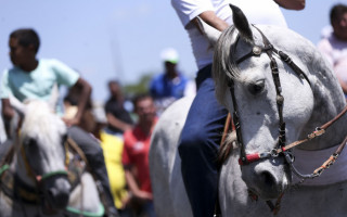 O TAC tem o objetivo de garantir a segurança dos participantes e dos animais durante o evento.