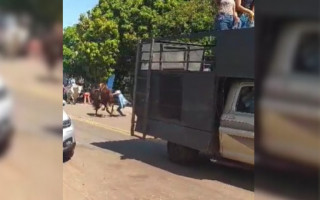 Mulher cai de cavalo durante cavalgada em Guaraí e fica em estado grave