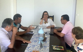 Senadora Kátia Abreu recebe lideranças políticas em Palmas.