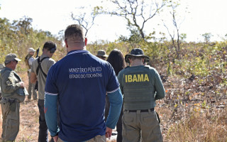 Membros e servidores do Ministério Público do Tocantins e do Ibama, durante fiscalização.