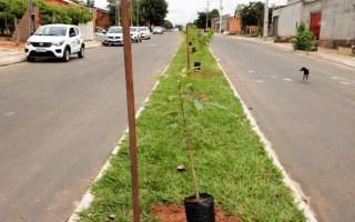 Município já segue as diretrizes da documentação durante a entrega de obras de infraestrutura do Projeto Águas de Araguaína, que já viabilizou o plantio de mais de duas mil mudas.