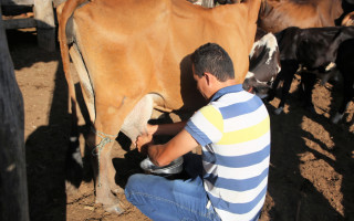 O foco das ações está na conscientização sobre a importância da proteção sanitária contínua dos rebanhos. Uma cartilha será distribuída para ajudar nas etapas de manejo