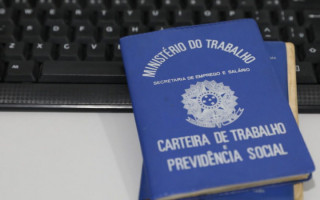  Setor de serviços lidera o ranking de geração de empregos no Tocantins