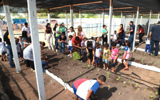 Toda a estrutura da horta é de responsabilidade do Lago Center Shopping de Araguaína e conta com a parceria do curso de Agronomia do Unitpac para o preparo do canteiro e criação das mudas