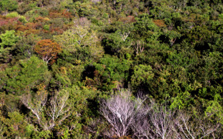 Trabalho conjunto entre as instituições objetiva a preservação dos recursos naturais.