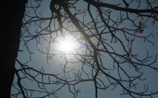  Temperatura mais alta já registrada no Tocantins foi 43ºC, em Palmas, no ano de 2017. 