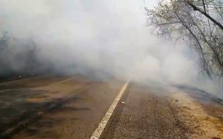 Além de provocarem acidentes, as queimadas também destroem as placas de sinalização e prejudicam a fauna e flora