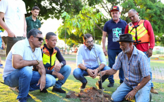 No plano especificadas as diretrizes, informações sobre o manejo e técnicas para que o plantio das árvores possa adequar-se de forma segura às ruas, calçadas, estacionamentos, praças e demais áreas de Araguaína