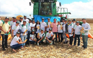 Vagas são para: Aliança do Tocantins, Almas, Araguaçu, Araguaína, Araguatins, Gurupi e Palmas.