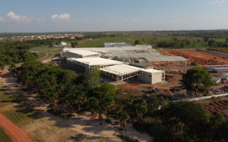 Entre as espécies que serão colocadas estão o Buriti, Ipê, Ingá e Embaúba.