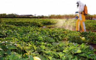 População deve ficar atenta aos sintomas causados pela intoxicação de agrotóxicos