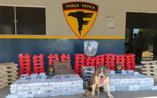  Em 2022, o cão de faro Raio localizou aproximadamente 1 tonelada dentro de um caminhão de mudança. 