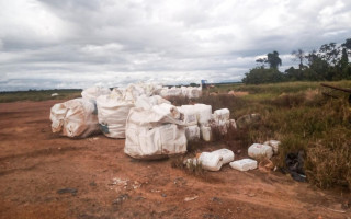 Três sócios são processados por descarte ilícito de embalagens de agrotóxicos
